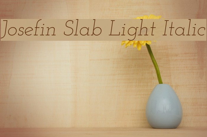 Josefin Slab Light Italic Example 3