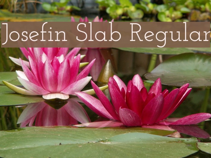 Josefin Slab Regular Font examples