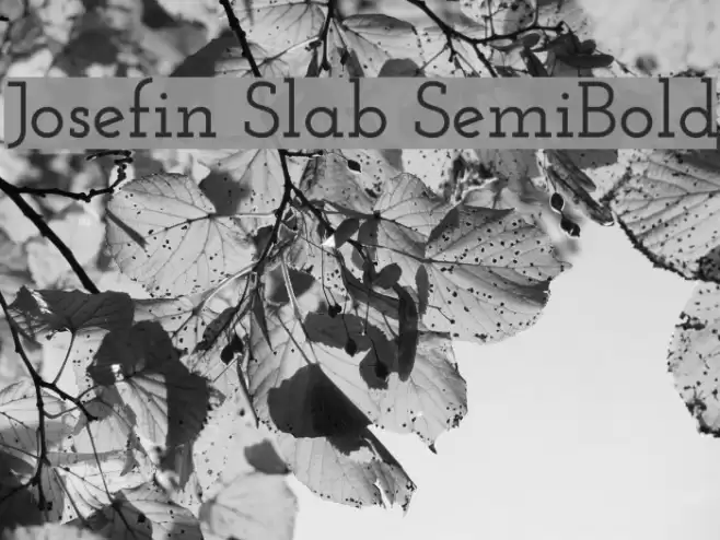 Josefin Slab SemiBold Font examples