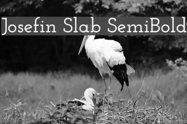 Josefin Slab SemiBold Font examples