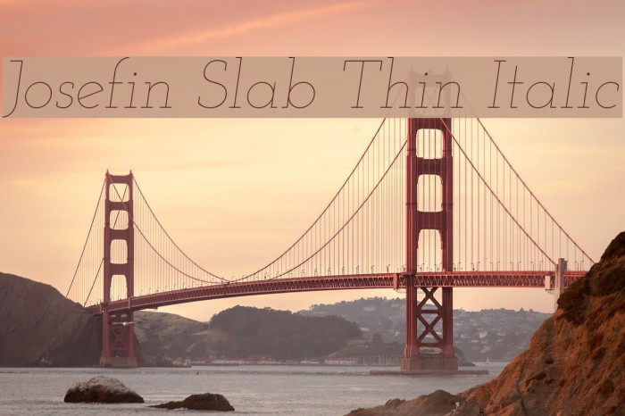 Josefin Slab Thin Italic Font examples