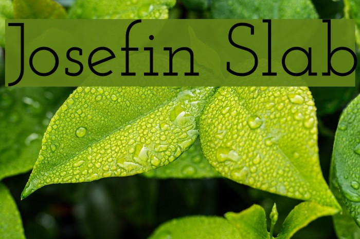 Josefin Slab Font examples