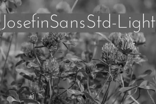 JosefinSansStd-Light Font examples