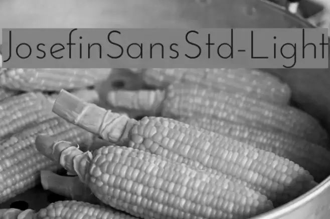 JosefinSansStd-Light Font examples
