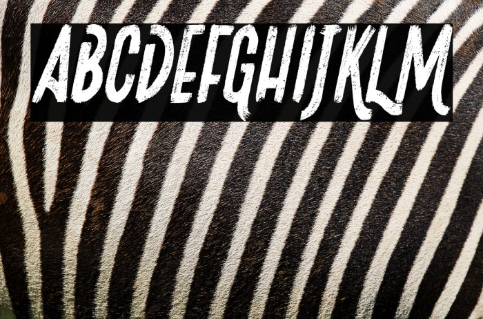 Josefina Italic Example 2