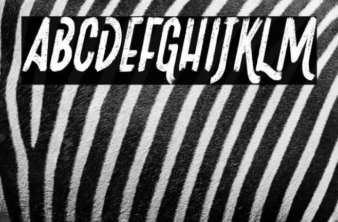 Josefina Italic Font examples