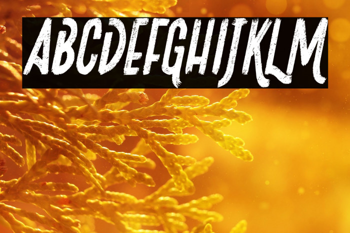 Josefina Italic Example 3