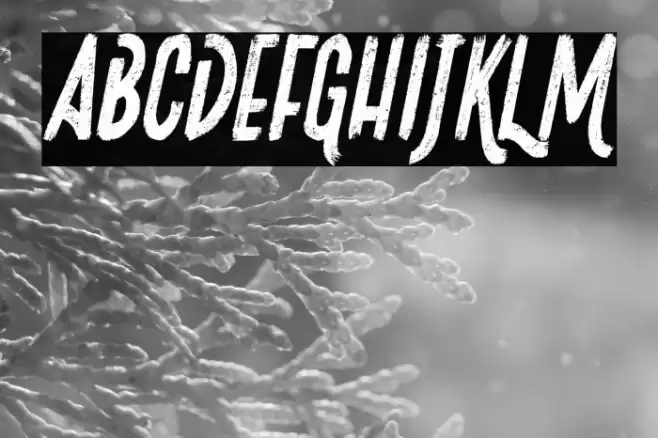 Josefina Italic Font examples