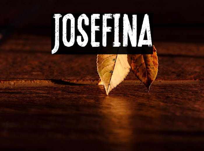 Josefina Example 1