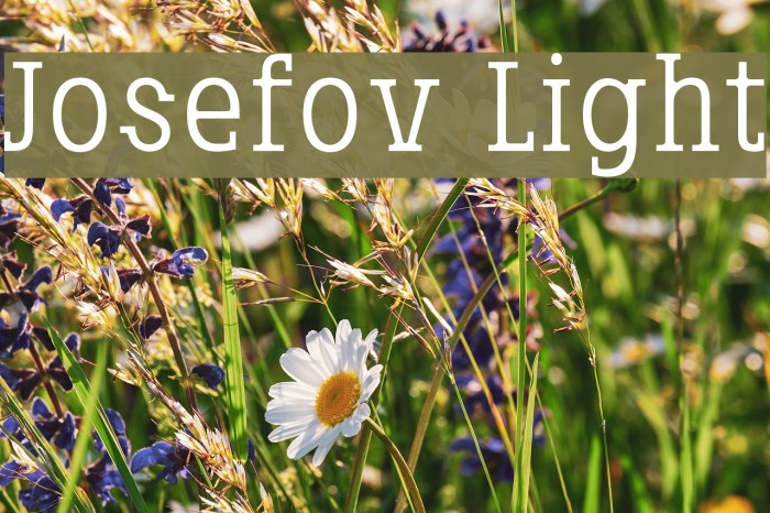 Josefov-Light Font examples