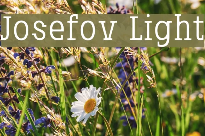 Josefov-Light Example 2