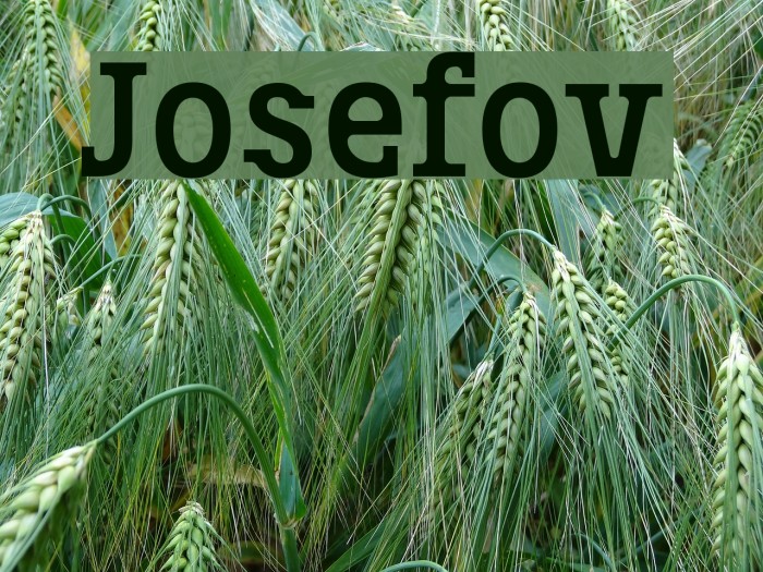 Josefov Font examples