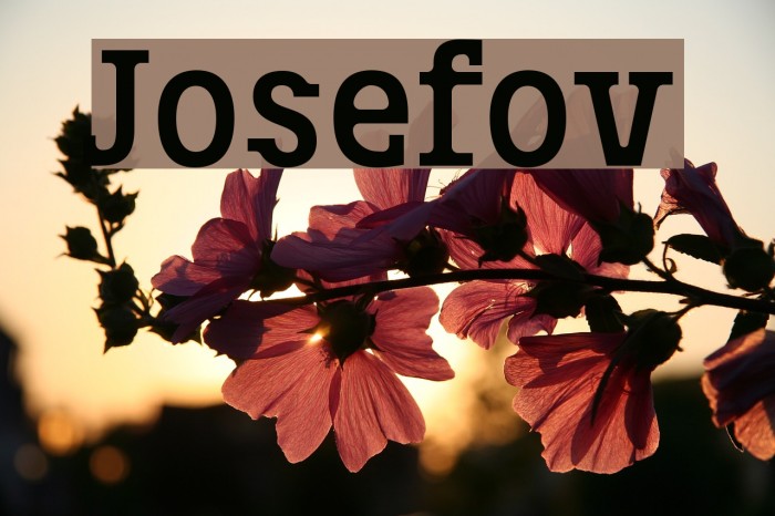 Josefov Font examples