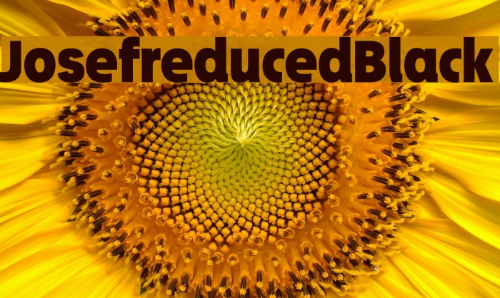 Josefreduced-Black Example 2