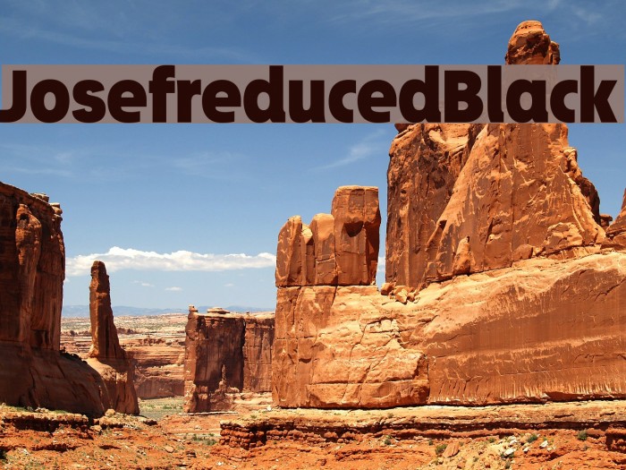 Josefreduced-Black Example 3