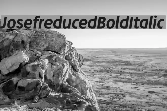 Josefreduced-BoldItalic Font examples