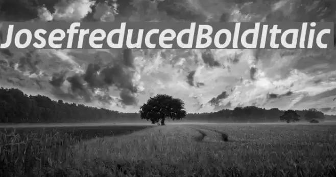Josefreduced-BoldItalic Font examples