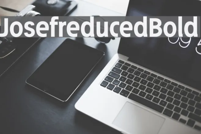 Josefreduced-Bold Example 1