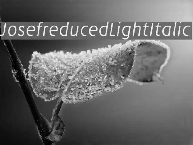 Josefreduced-LightItalic Font examples