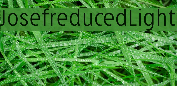 Josefreduced-Light Font examples