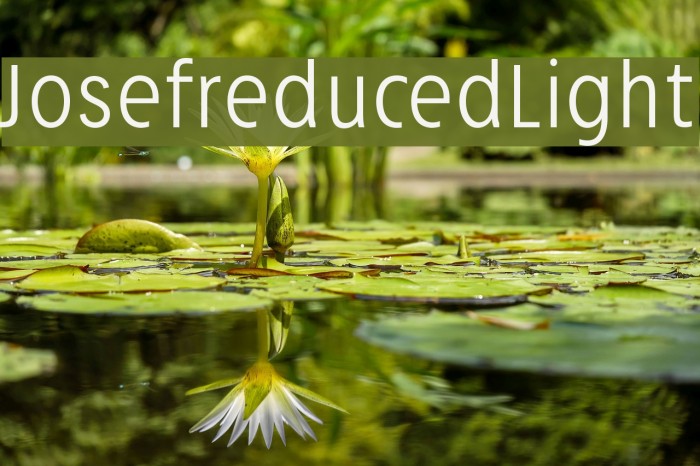 Josefreduced-Light Font examples