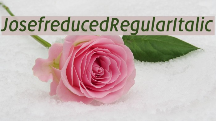 Josefreduced-RegularItalic Font examples