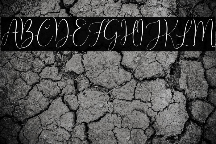 Joseph Olivia Example 2