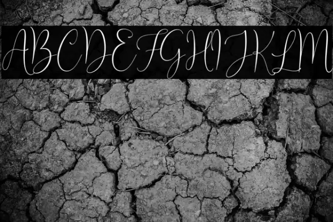 Joseph Olivia Font examples