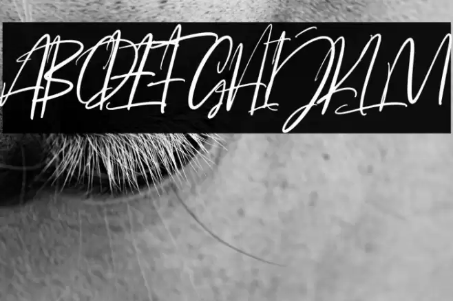 Josephine フォント examples