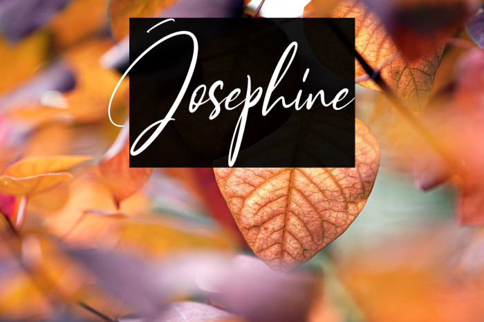 Josephine Example 2