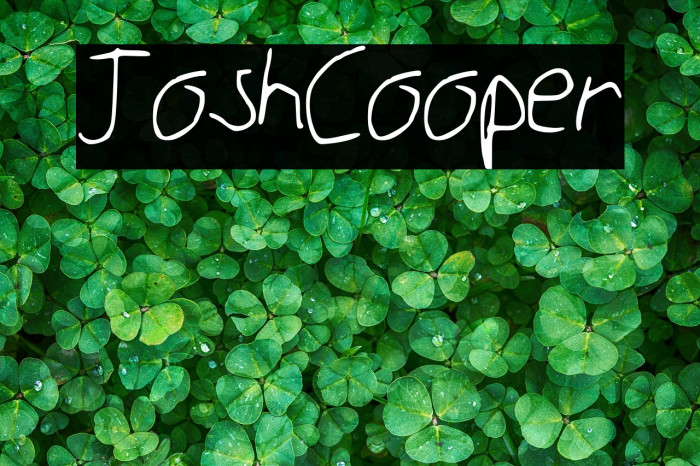 JoshCooper Example 1