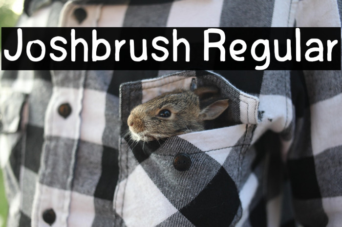 Joshbrush Regular Example 3