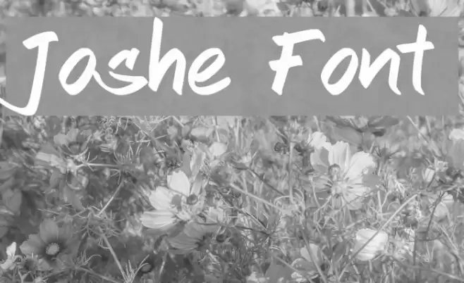 Joshe Font examples