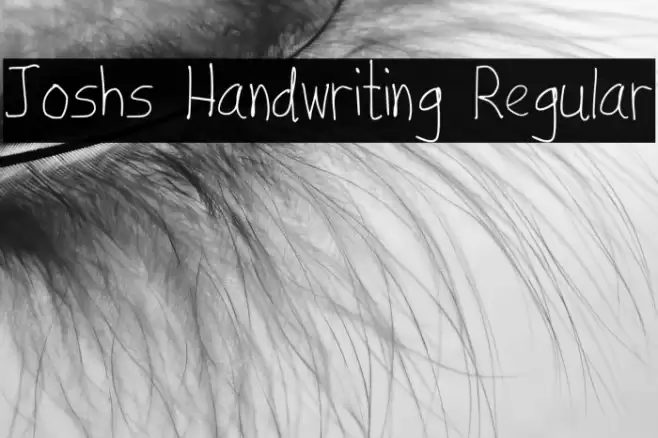 Joshs Handwriting Regular Font examples