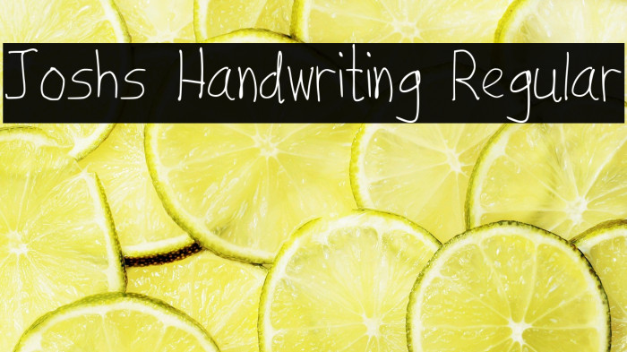 Joshs Handwriting Regular Example 3