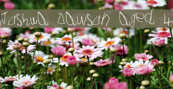 Joshua Dawson aged 4 Font examples