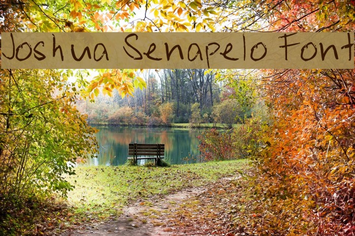 Joshua Senapelo Font Font examples