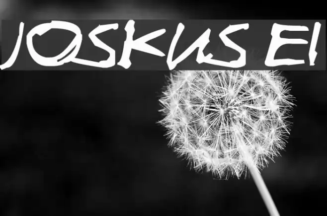 Joskus Ei Font examples