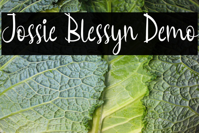 Jossie Blessyn Demo Example 1