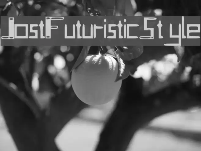 Jost_Futuristic_Style Font examples