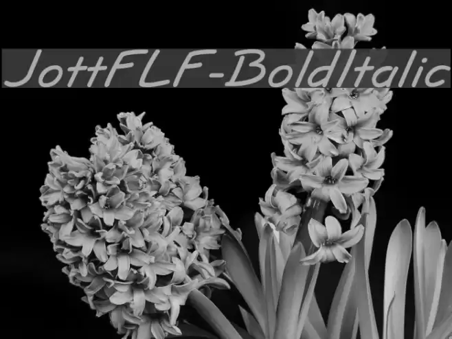 JottFLF-BoldItalic Font examples