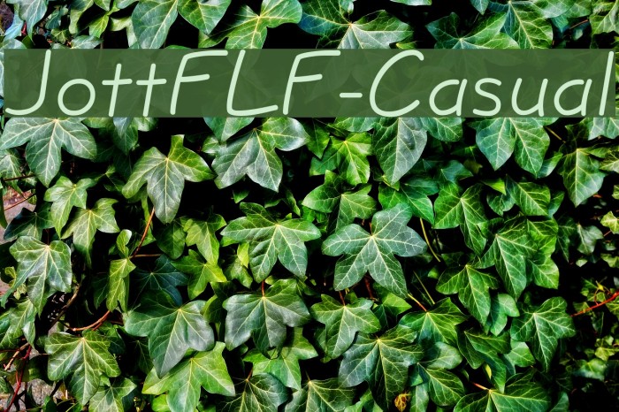 JottFLF-Casual Fuentes examples