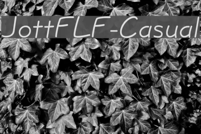 JottFLF-Casual خط examples
