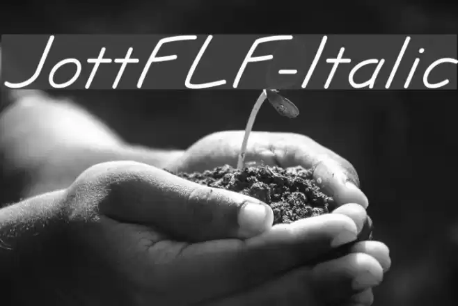 JottFLF-Italic Fuentes examples