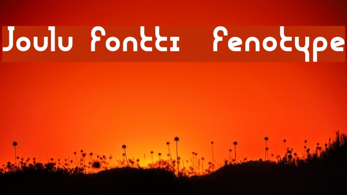 Joulu Fontti Fenotype Font examples