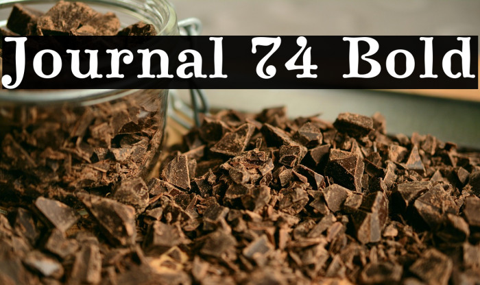 Journal 74 Bold Example 2