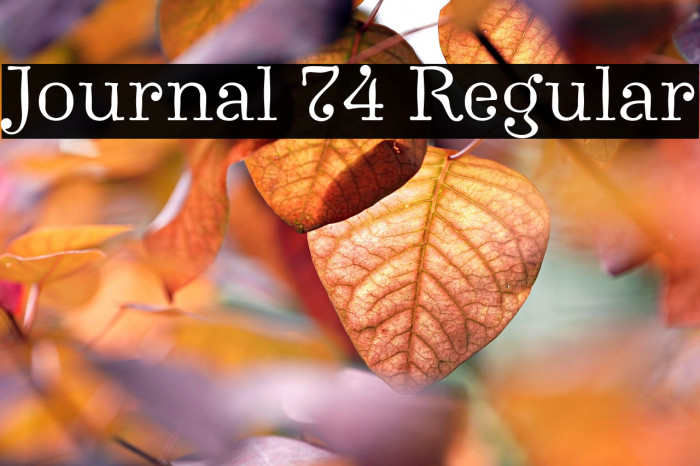 Journal 74 Regular Example 1