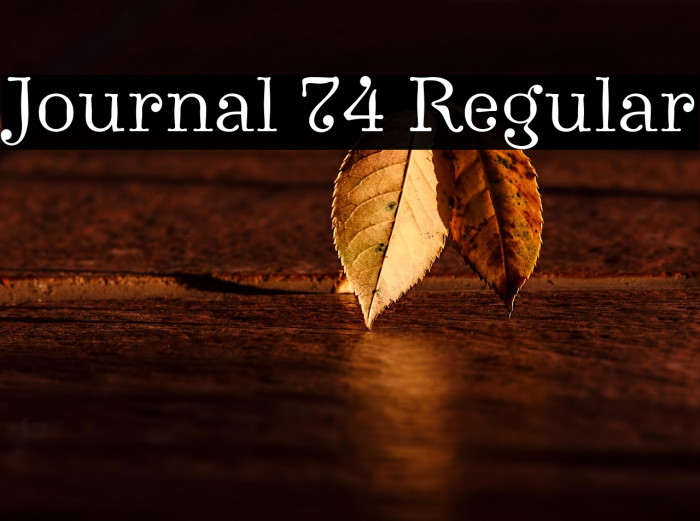 Journal 74 Regular Example 2