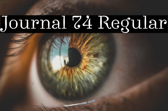 Journal 74 Regular Example 3