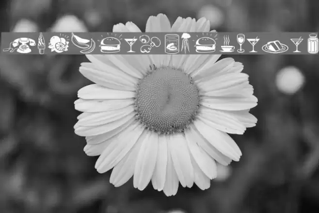 Journal Dingbats 1 Font examples